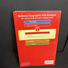 Load image into Gallery viewer, Giraffes (National Geographic Kids Level 1) (Laura Marsh) (Mammals) -educational reader paperback
