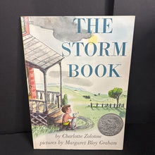 Load image into Gallery viewer, The Storm Book (Charlotte Zolotow) -paperback
