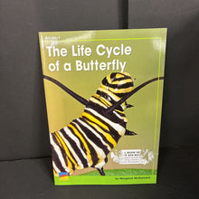 Load image into Gallery viewer, The Life Cycle of a Butterfly (Margaret McNamara) (Insects) -educational paperback
