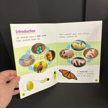 Load image into Gallery viewer, The Life Cycle of a Butterfly (Margaret McNamara) (Insects) -educational paperback

