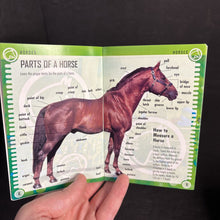 Load image into Gallery viewer, Horses (Pocket Pages) (Mammals) -educational paperback
