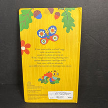 Load image into Gallery viewer, Growing Up Baby (Sam Hearn) (Lift-the-Flap) -board
