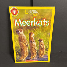 Load image into Gallery viewer, Meerkats (National Geographic Kids Level 1) (Laura Marsh) (Mammals) -reader educational paperback
