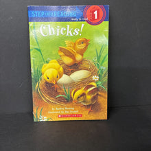 Load image into Gallery viewer, Chicks! (Step Into Reading Level 1) (Sandra Horning) -reader paperback
