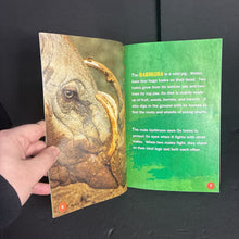 Load image into Gallery viewer, Ugly Animals (Scholastic Reader Level 3) (Gilda &amp; Melvin Berger) -reader paperback
