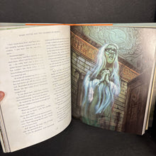 Load image into Gallery viewer, Harry Potter and the Chamber of Secrets: Illustrated Edition (J.K. Rowling &amp; Jim Kay) -series hardcover
