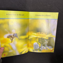 Load image into Gallery viewer, Buzz, Bee! (National Geographic Kids Pre-Reader) (Jennifer Szymanski) (Insects) -reader educational paperback
