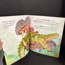 Load image into Gallery viewer, Hippos Are Huge! (Jonathan London) (Read and Wonder) (Mammals) -educational paperback
