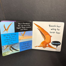 Load image into Gallery viewer, Noisy Dinosaurs (Tiger Tales) (My First Touch and Feel Sound Book) -touch &amp; feel sound board

