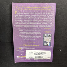 Load image into Gallery viewer, Belle Prater's Boy (Ruth White) -chapter paperback
