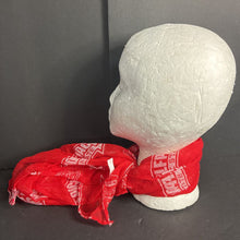 Load image into Gallery viewer, Team Infinity Scarf (NEW)
