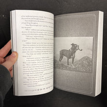 Load image into Gallery viewer, Hollow City (Miss Peregrine's Peculiar Children) (Ransom Riggs) -series paperback
