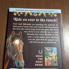 Load image into Gallery viewer, Sparkling Jewel (Silver Pony Ranch) (Emily Wallis) -series
