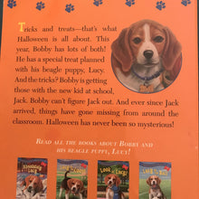 Load image into Gallery viewer, Lucy's tricks and treats (Absolutely Lucy) (Ilene Cooper) -series
