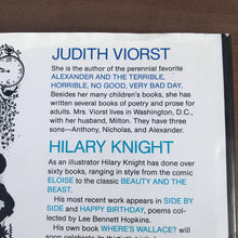 Load image into Gallery viewer, Sunday Morning (Judith Viorst) -paperback
