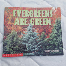 Load image into Gallery viewer, evergreens are green (science reader)- educational

