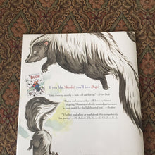 Load image into Gallery viewer, Skunks! (David T. Greenburg) -paperback
