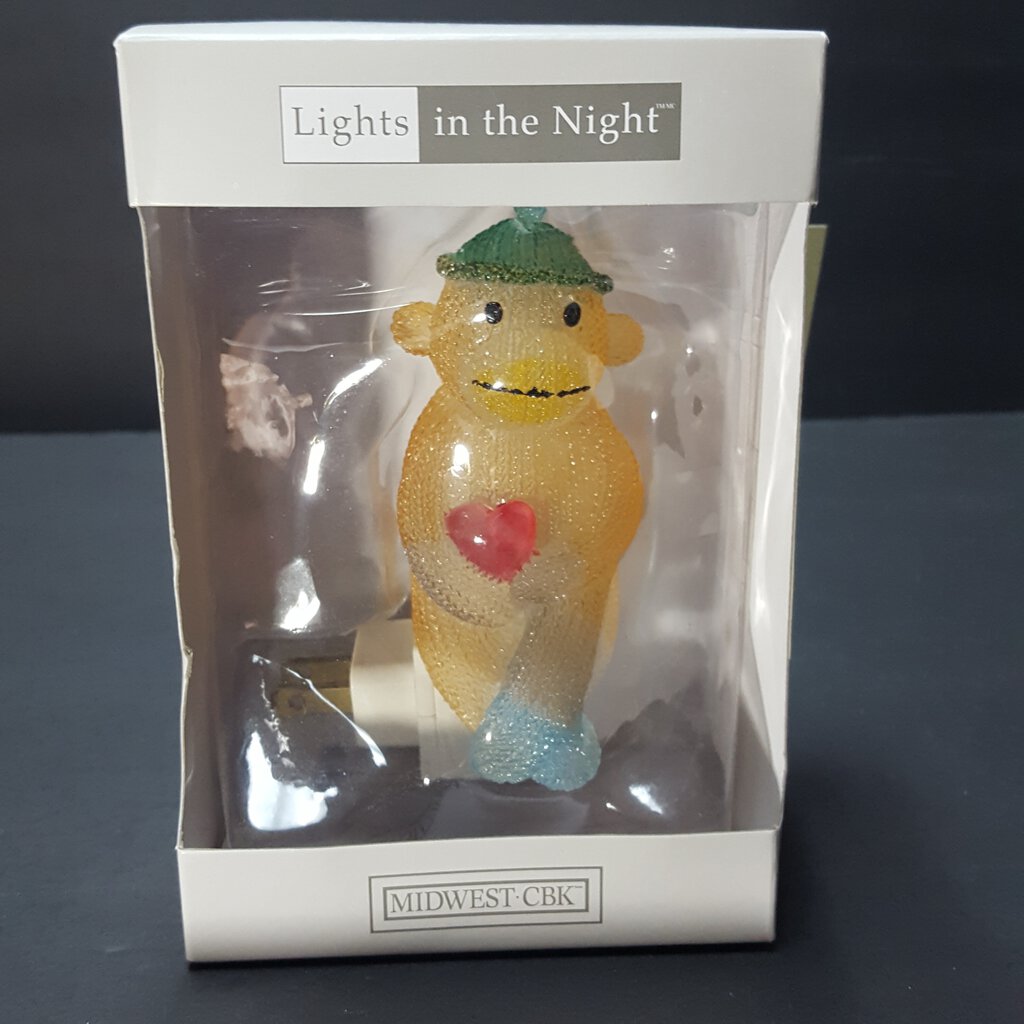 lights in the night 