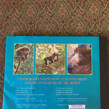 Load image into Gallery viewer, Quest for the tree kangaroo (Sy Montgomery) -hardcover
