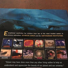 Load image into Gallery viewer, Sharks -educational
