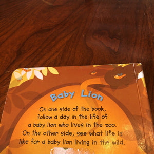 Baby Lion-Board