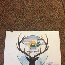 Load image into Gallery viewer, David and the ice elf (Winifred Morris) -hardcover
