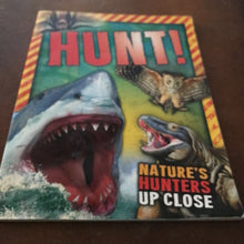 Load image into Gallery viewer, Hunt! -educational
