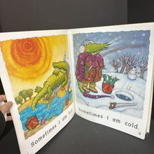 Load image into Gallery viewer, Sometimes -oversized paperback
