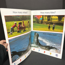 Load image into Gallery viewer, How Many? -oversized paperback
