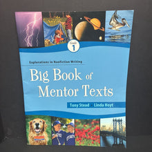 Load image into Gallery viewer, BIg Book of Mentor Texts -oversized paperback

