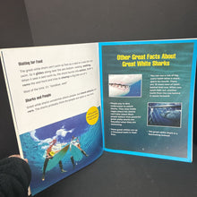 Load image into Gallery viewer, BIg Book of Mentor Texts -oversized paperback
