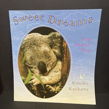 Load image into Gallery viewer, Sweet Dreams -oversized paperback
