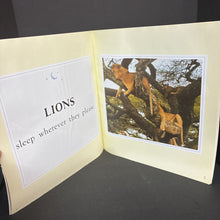 Load image into Gallery viewer, Sweet Dreams -oversized paperback
