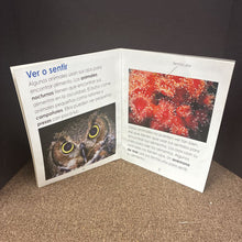 Load image into Gallery viewer, iA Comer! -oversized (11.5" x 15") paperback
