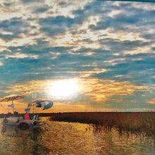 Load image into Gallery viewer, Catch The Excitement of Coastal Georgia-Educational
