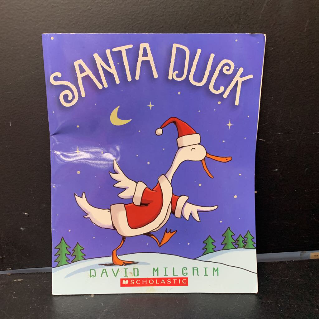 Santa Duck -paperback