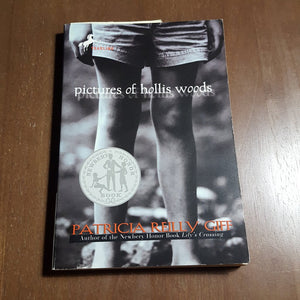 Pictures of Hollis Woods (Patricia Reilly Giff) -chapter