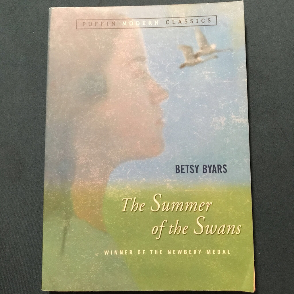 Summer of the Swans (Betsy Cromer Byars) -chapter