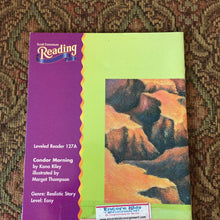 Load image into Gallery viewer, Condor morning - reader

