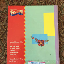 Load image into Gallery viewer, No big deal - reader

