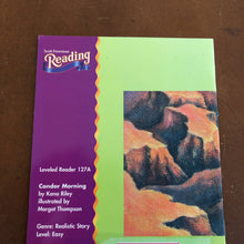 Load image into Gallery viewer, Condor morning - reader
