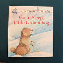 Load image into Gallery viewer, Go to sleep, Little Groundhog (Patricia Jensen) -hardcover
