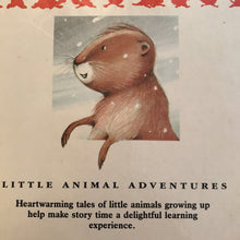 Load image into Gallery viewer, Go to sleep, Little Groundhog (Patricia Jensen) -hardcover
