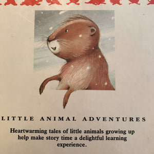 Go to sleep, Little Groundhog (Patricia Jensen) -hardcover