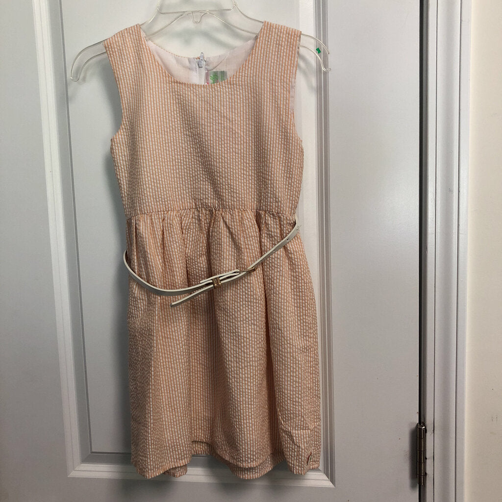 striped dress w/belt