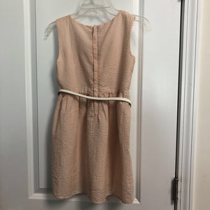 striped dress w/belt