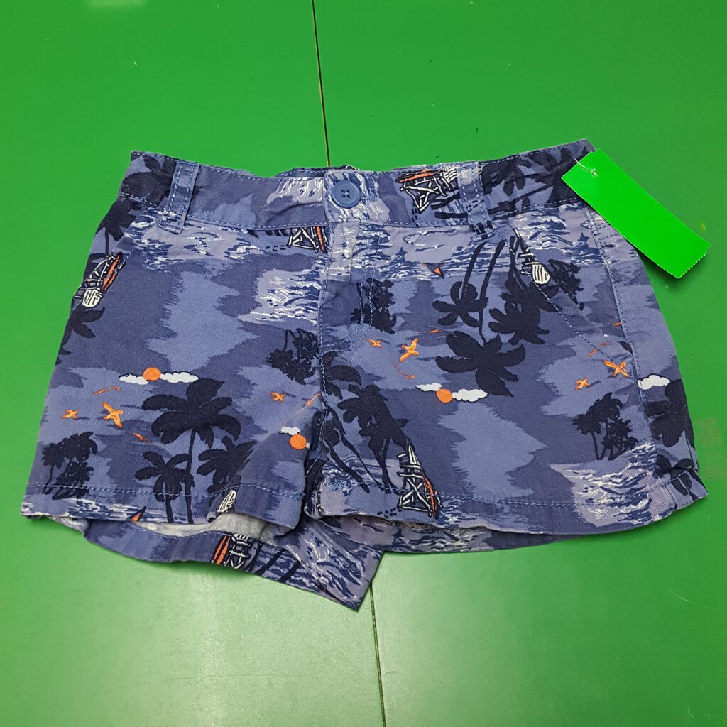 Ocean Shorts