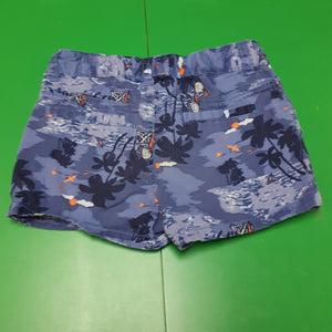Ocean Shorts