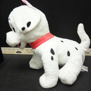dalmatian puppy
