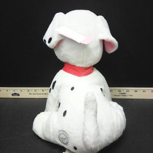 dalmatian puppy